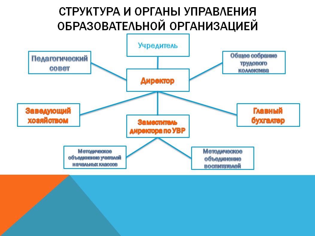 Структура образовательной организации.